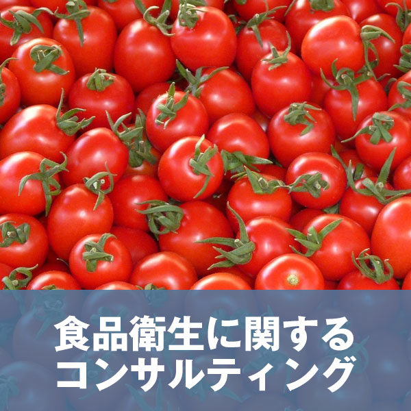 イメージ画像