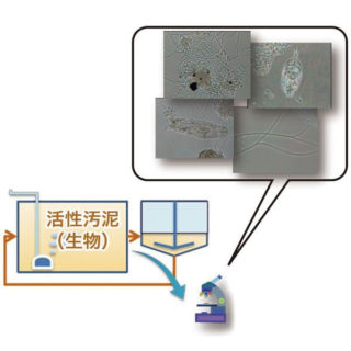 食の安全・安心、効率化を実現する注目の製品&サービスのイメージ画像
