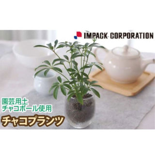 注目バイヤーズガイド〜2020年に向けてイチ押しの製品を紹介〜のイメージ画像