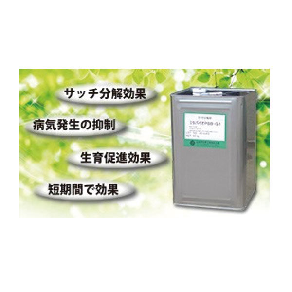 イメージ画像