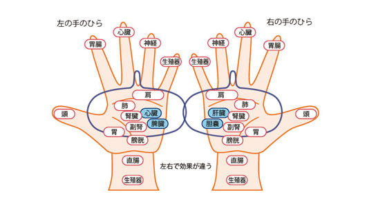 イメージ画像