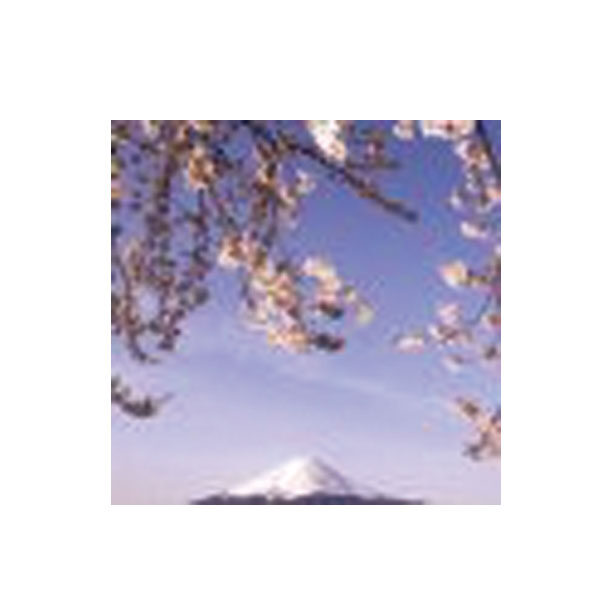 イメージ画像