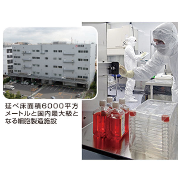 再生医療向け 細胞受託開発・生産サービス開始のイメージ画像