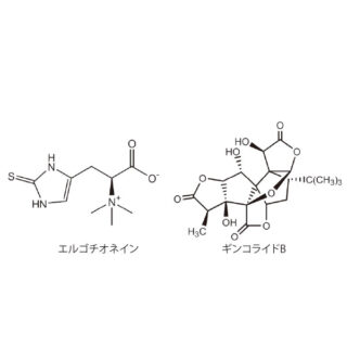 科学の進歩を支える注目のシステム＆ソリューションのイメージ画像