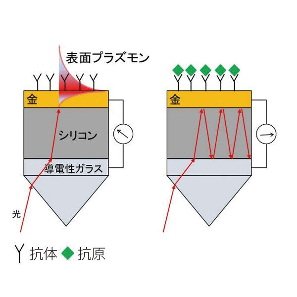 コンパクト化と高感度化を同時に実現した表面プラズモンセンサーのイメージ画像