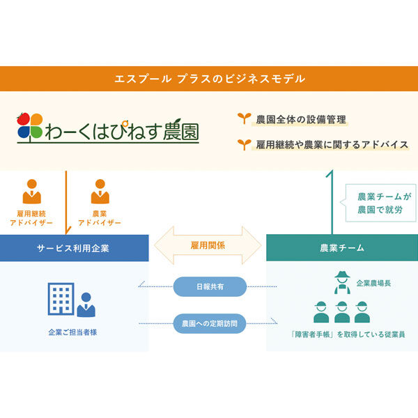 イメージ画像