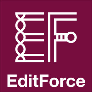 エディットフォース株式会社のイメージ画像