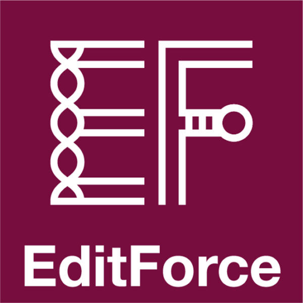 エディットフォース株式会社のイメージ画像