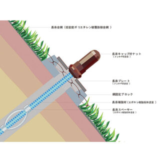 補強土工 「長寿命補強土　植生型」のイメージ画像