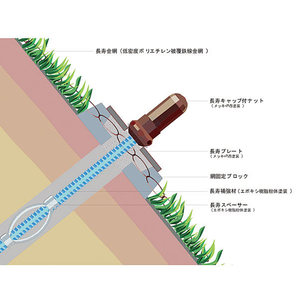 イメージ画像