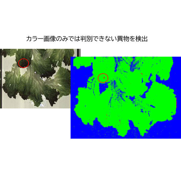 イメージ画像